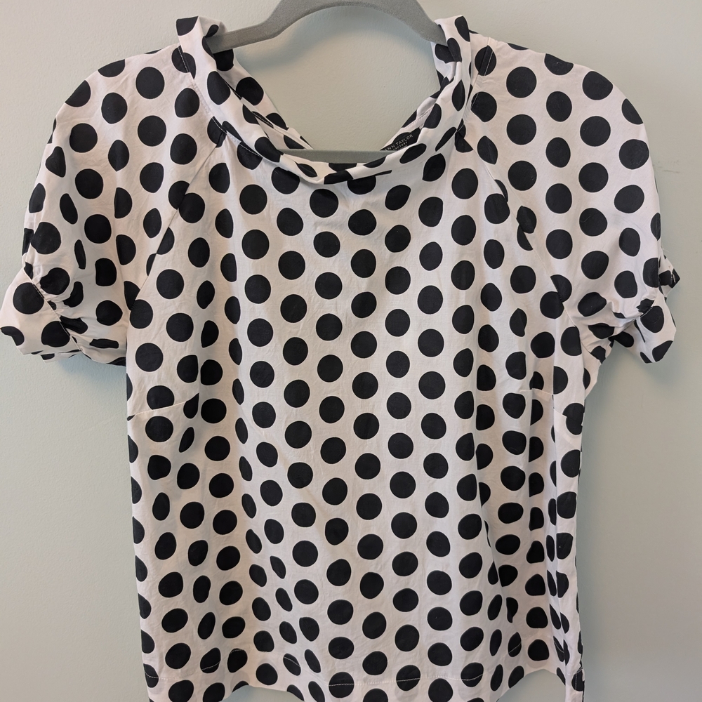 Ann Taylor Black and White Ruffled Blouse with Peter Pan Collar